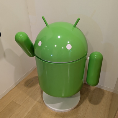 Input - "detect android\n"