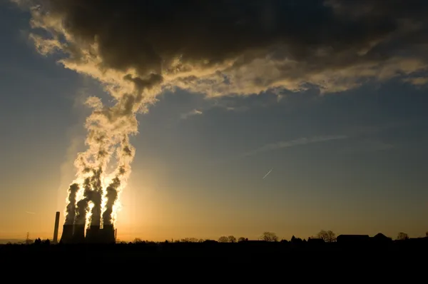 image for Climate Trends How is the UK searching for climate change?