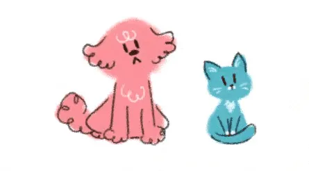 Cat and dog