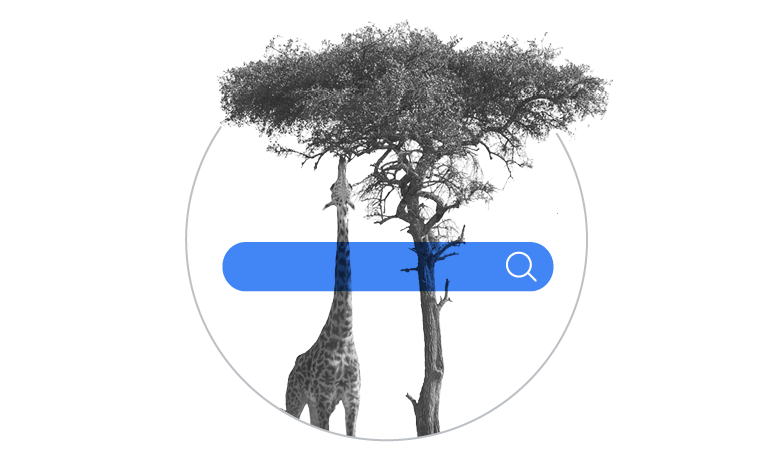 TwG_Start_580px (1).png