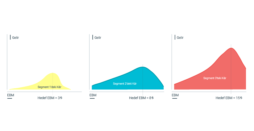 bcf49_Segmenting customers diagrams_TUR lira-03